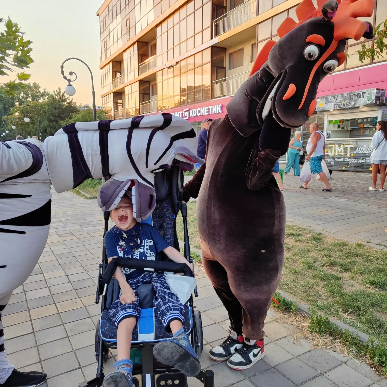 зебра и олень