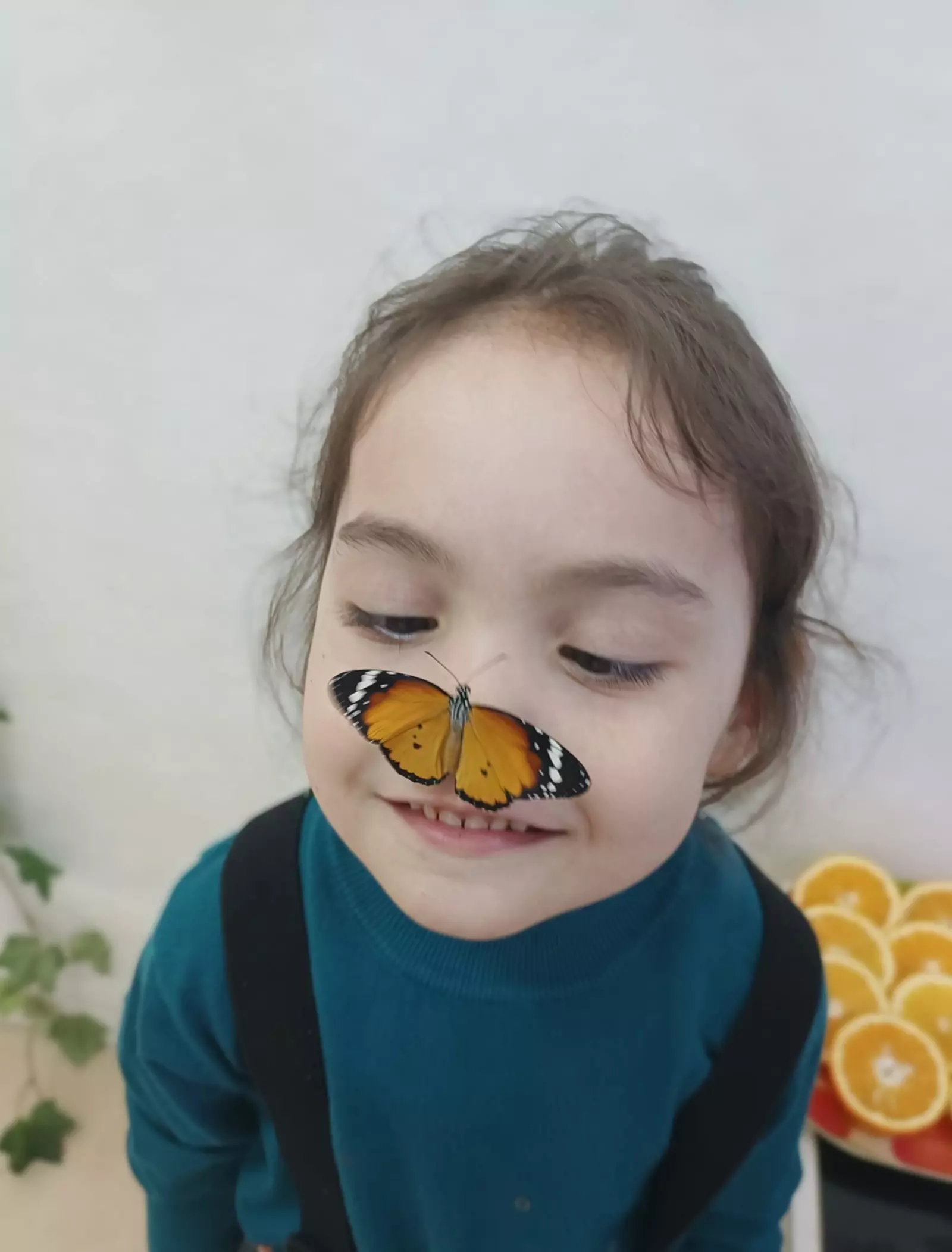 Бабочка
