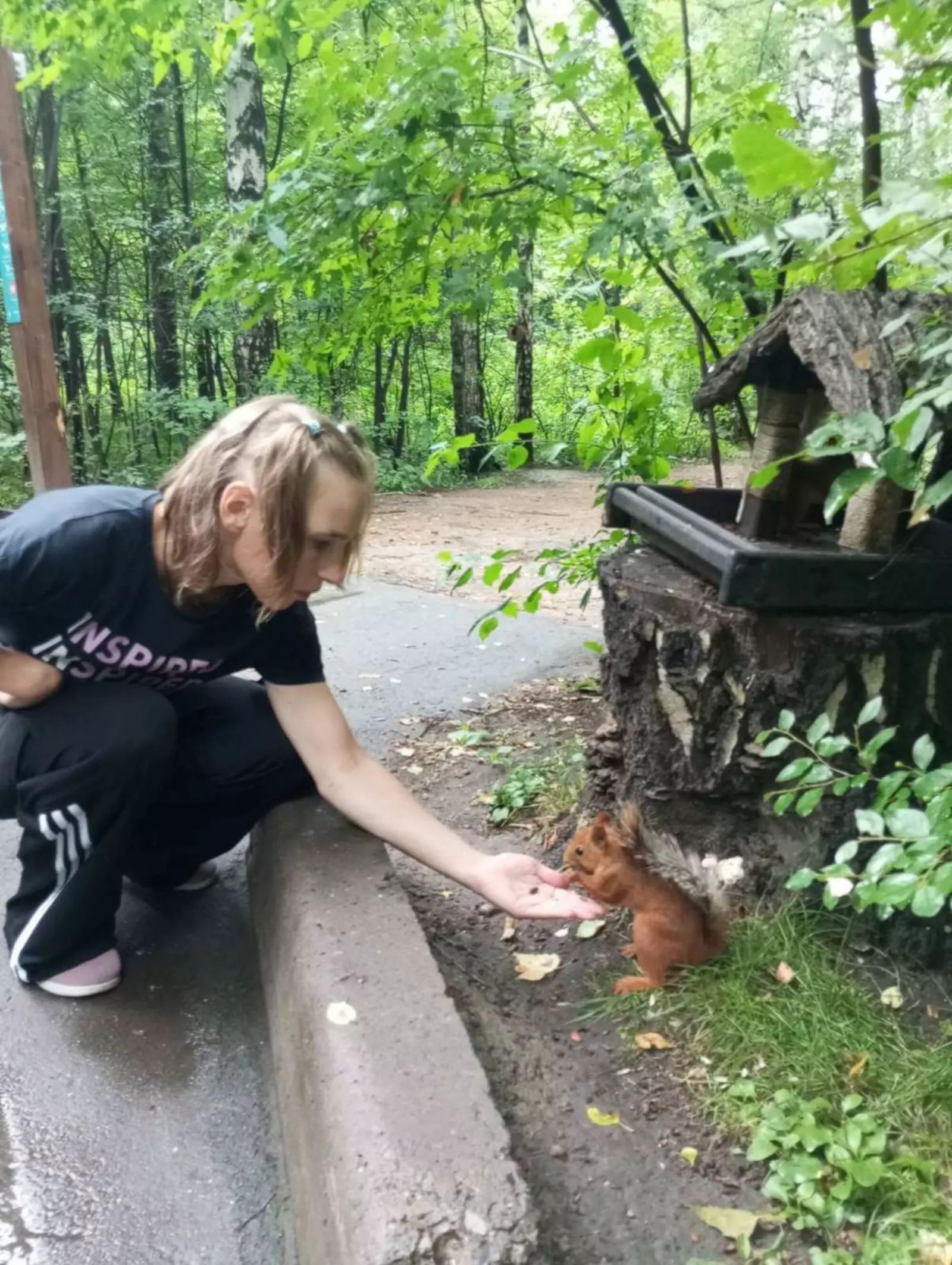 Белочка рассматривает меня, а я её.