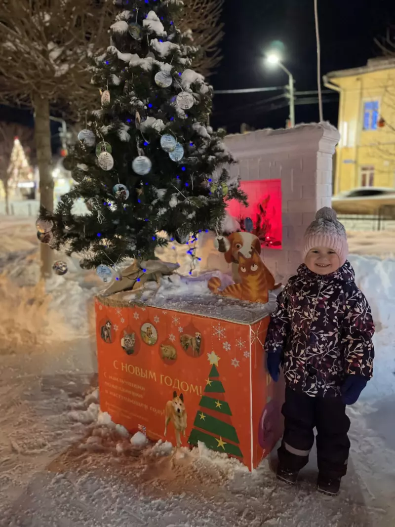 Встреча Нового года