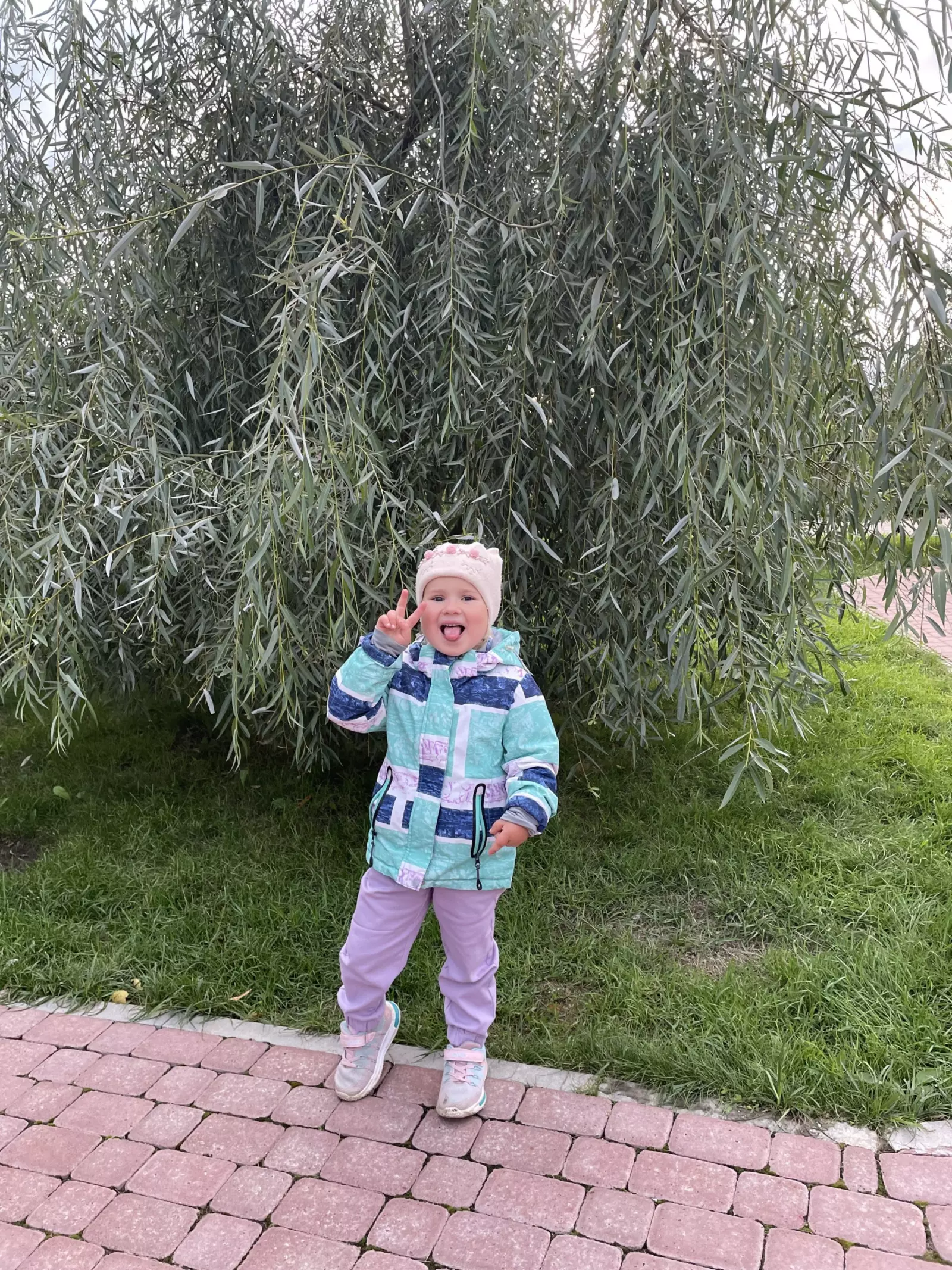Озорство