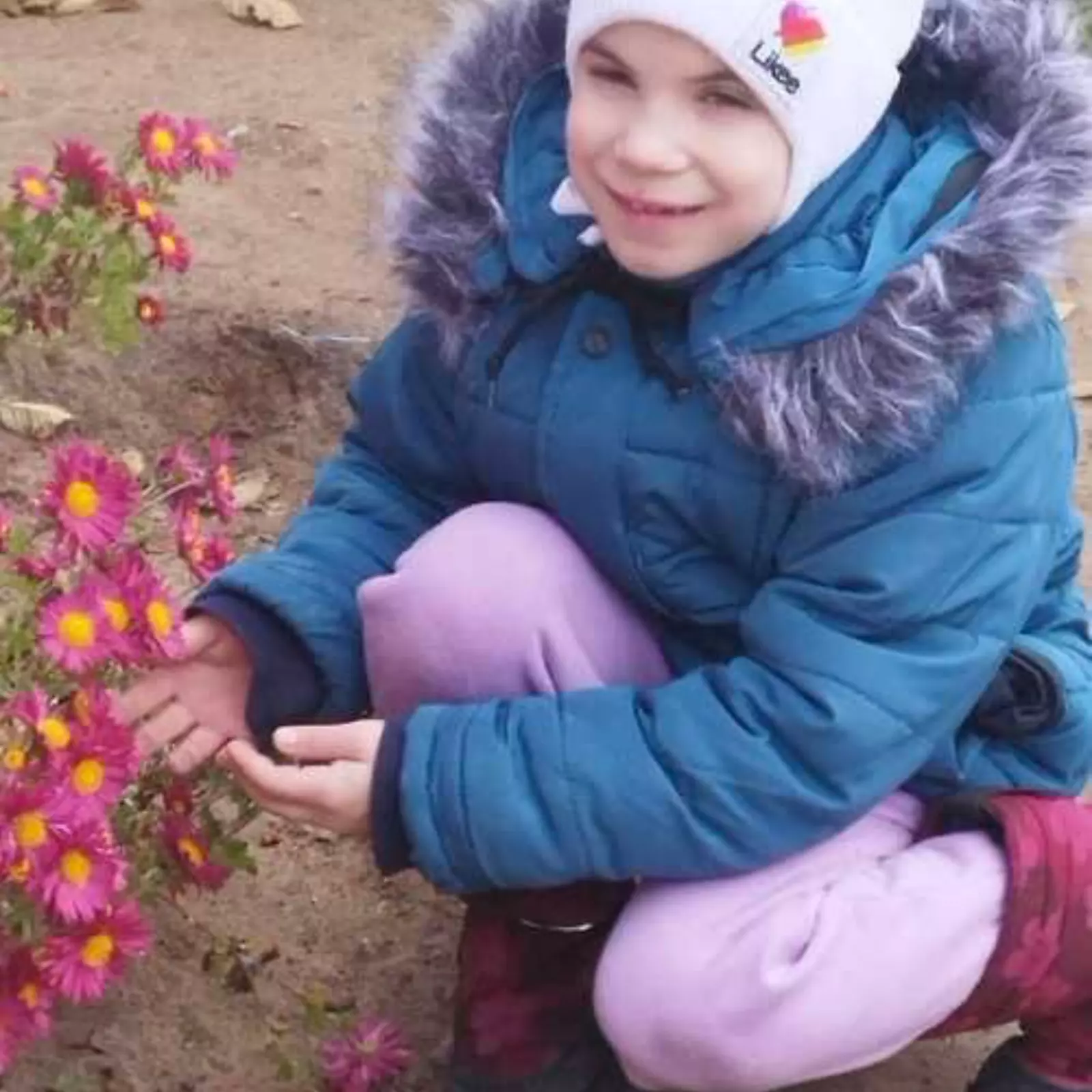 цветы в ноябре