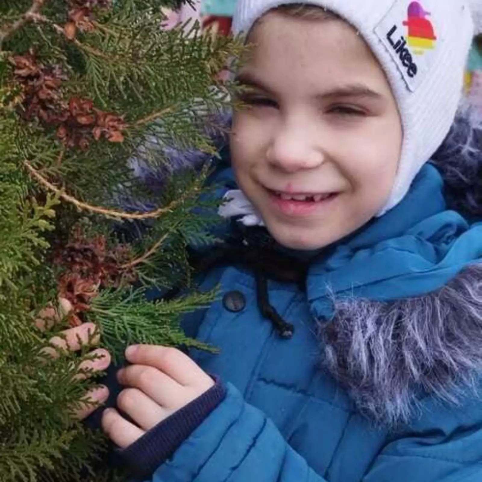 запах хвои