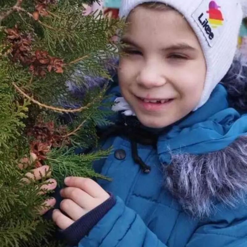 запах хвои