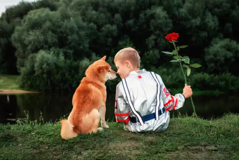 Маленький принц